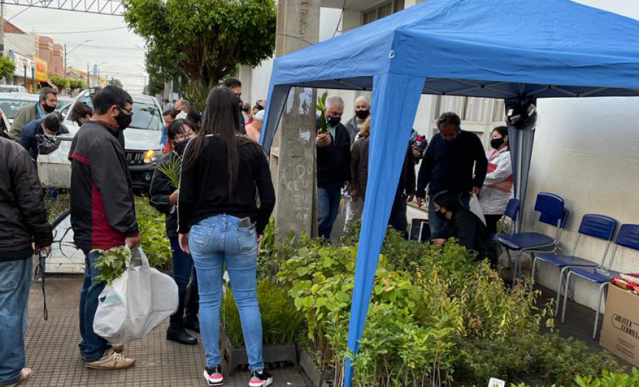 Cerca de 300 famílias de Bandeirantes recebem doações arrecadadas pelo IAT Foto: IAT
