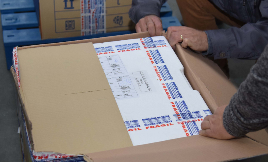 Com novo lote da Pfizer, Paraná recebe todas as 209,1 mil doses desta segunda. Foto: Américo Antonio/SESA