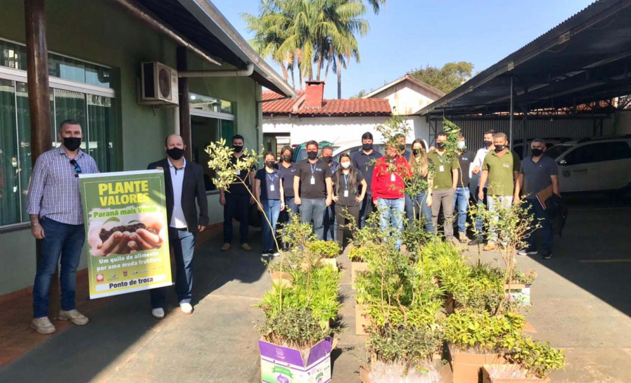 Os moradores de Campo Mourão podem contribuir para a campanha solidária do Instituto Água e Terra (IAT) na doação de um quilo de alimento em troca de uma muda de árvore nativa.  -  Curitiba, 10/08/2021  -  Foto: SEDEST
