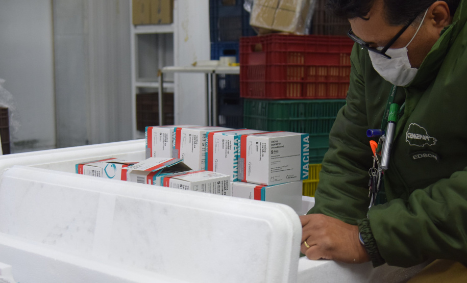 Novo lote com 114 mil vacinas contra a Covid-19 chega ao Paraná Foto: Américo Antonio/SESA