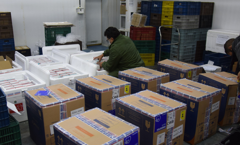 Novo lote com 114 mil vacinas contra a Covid-19 chega ao Paraná Foto: Américo Antonio/SESA