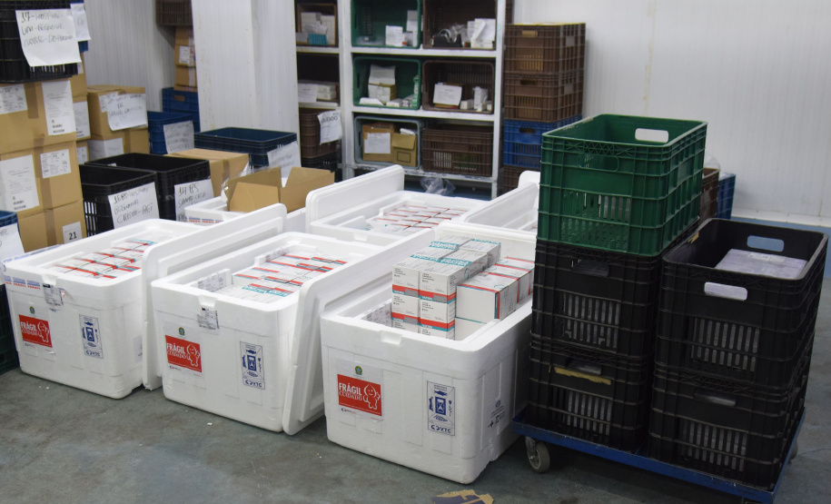 Novo lote com 114 mil vacinas contra a Covid-19 chega ao Paraná Foto: Américo Antonio/SESA