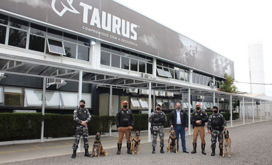 Cães de faro da PM passam por testes de faro de armas no Rio Grande do Sul  Foto: PMPR