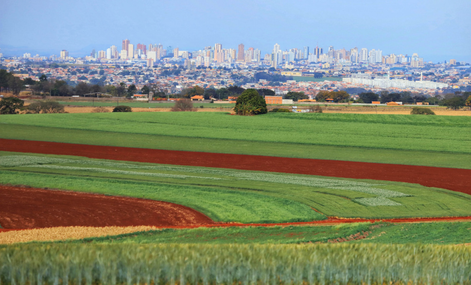 O governador Carlos Massa Ratinho Junior participou da apresentação de soluções tecnológicas para o agronegócio que se beneficiarão do 5G. A iniciativa faz parte da série de projetos-piloto de conectividade promovida pelo Ministério das Comunicações (Mcom).  -  Londrina, 12/08/2021  -  Foto: José Fernando Ogura/AEN