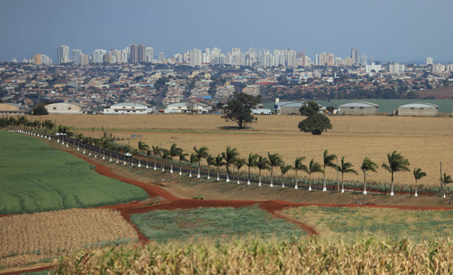 Evento Agroconectado - Londrina, 12/08/2021  -  Foto: José Fernando Ogura/AEN