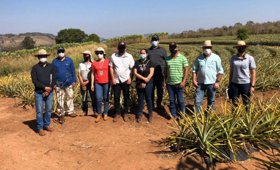 Planejamento para criação do IDR-Paraná e produção orgânica de frutas são modelos de trabalho para outros estados  -  Curitiba, 13/08/2021  -  Foto: Francieli Galo/IDR-PARANÁ
