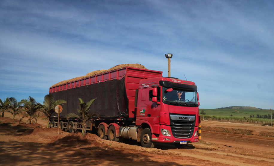 Tecnologia e produtividade fazem a cana-de-açúcar voltar a brilhar no Norte Pioneiro. Foto: José Fernando Ogura/AEN