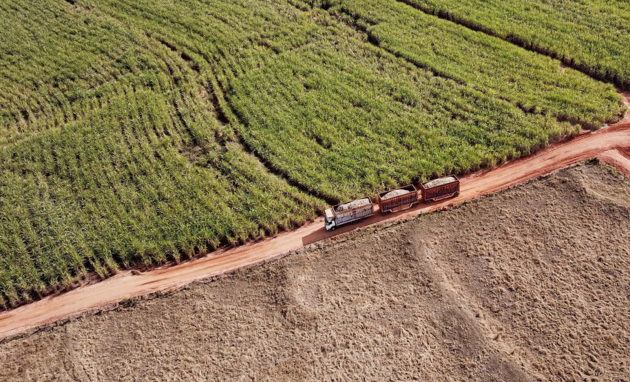 Tecnologia e produtividade fazem a cana-de-açúcar voltar a brilhar no Norte Pioneiro. Foto: José Fernando Ogura/AEN