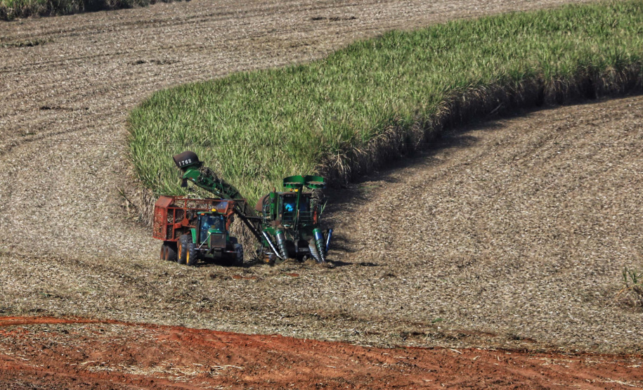 Tecnologia e produtividade fazem a cana-de-açúcar voltar a brilhar no Norte Pioneiro. Foto: José Fernando Ogura/AEN