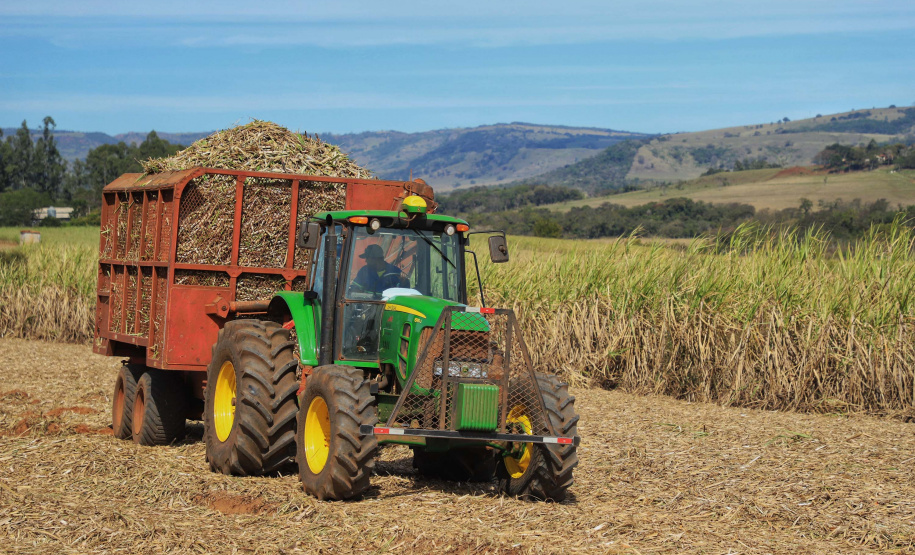 Tecnologia e produtividade fazem a cana-de-açúcar voltar a brilhar no Norte Pioneiro. Foto: José Fernando Ogura/AEN