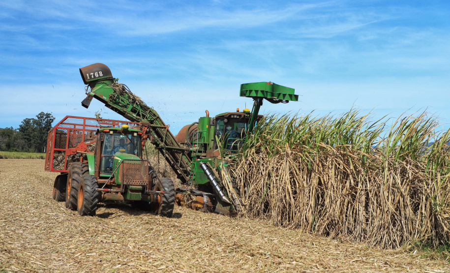 Tecnologia e produtividade fazem a cana-de-açúcar voltar a brilhar no Norte Pioneiro. Foto: José Fernando Ogura/AEN