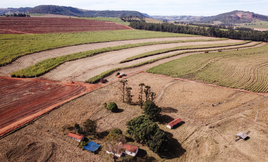 Tecnologia e produtividade fazem a cana-de-açúcar voltar a brilhar no Norte Pioneiro. Foto: José Fernando Ogura/AEN
