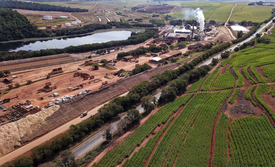 Tecnologia e produtividade fazem a cana-de-açúcar voltar a brilhar no Norte Pioneiro. Foto: José Fernando Ogura/AEN