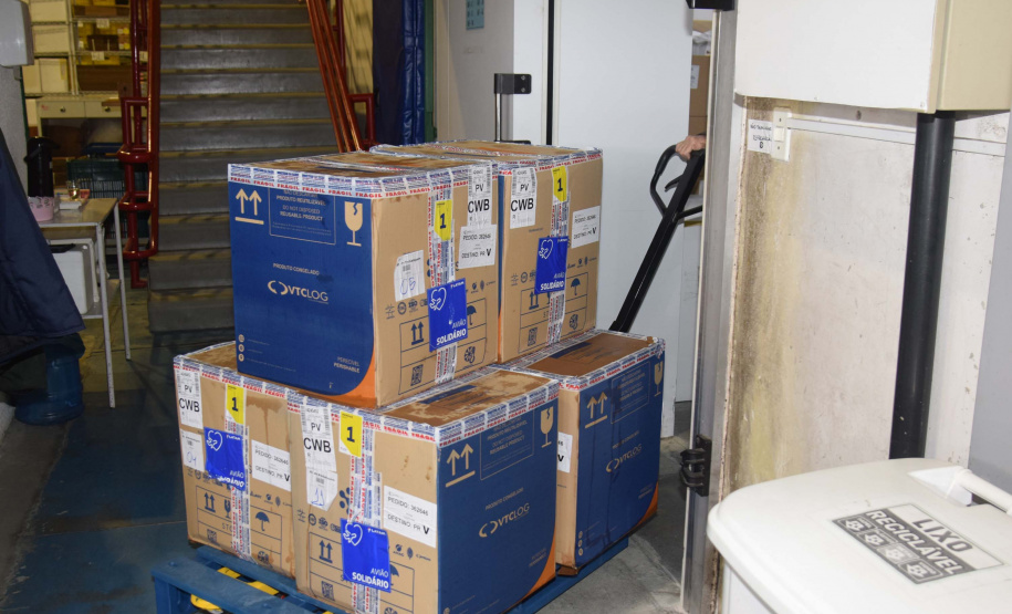 Paraná recebe mais 191,4 mil vacinas contra a Covid-19; distribuição começa neste sábado. Foto: Américo Antonio/SESA