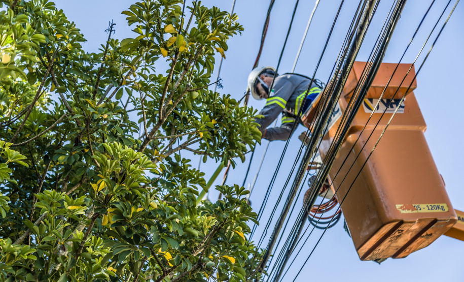 A Copel promove neste sábado (14) o mutirão anual de manutenção preventiva nas redes elétricas, com o objetivo de reduzir desligamentos de energia no período mais chuvoso do ano. Esta será a terceira edição do chamado "Dia D", com cerca de 2 mil trabalhadores em campo, em 79 municípios de todo o Paraná.  -  Curitiba, 13/08/2021  -  Foto: Copel