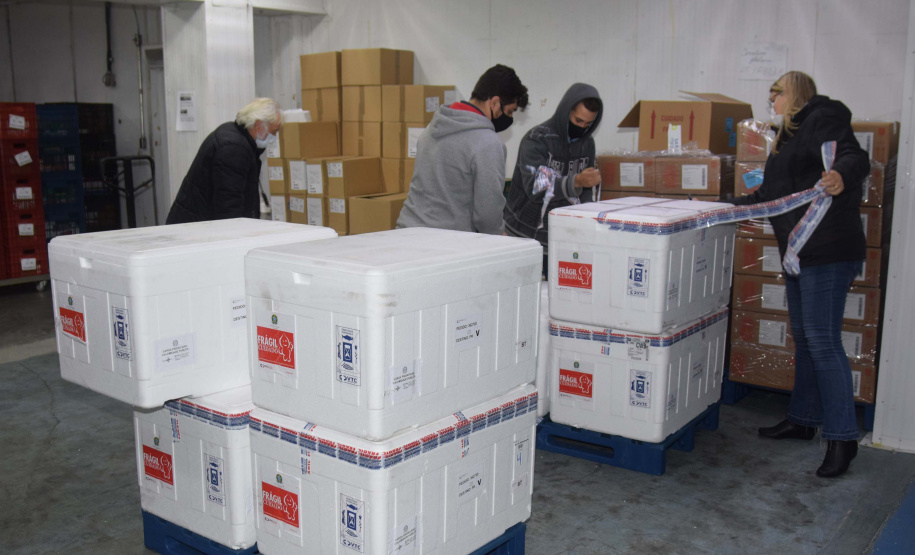 Mais 240,9 mil vacinas contra a Covid-19 chegam ao Paraná
Foto: Américo Antonio/SESA