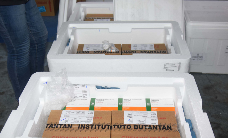 Mais 240,9 mil vacinas contra a Covid-19 chegam ao Paraná
Foto: Américo Antonio/SESA