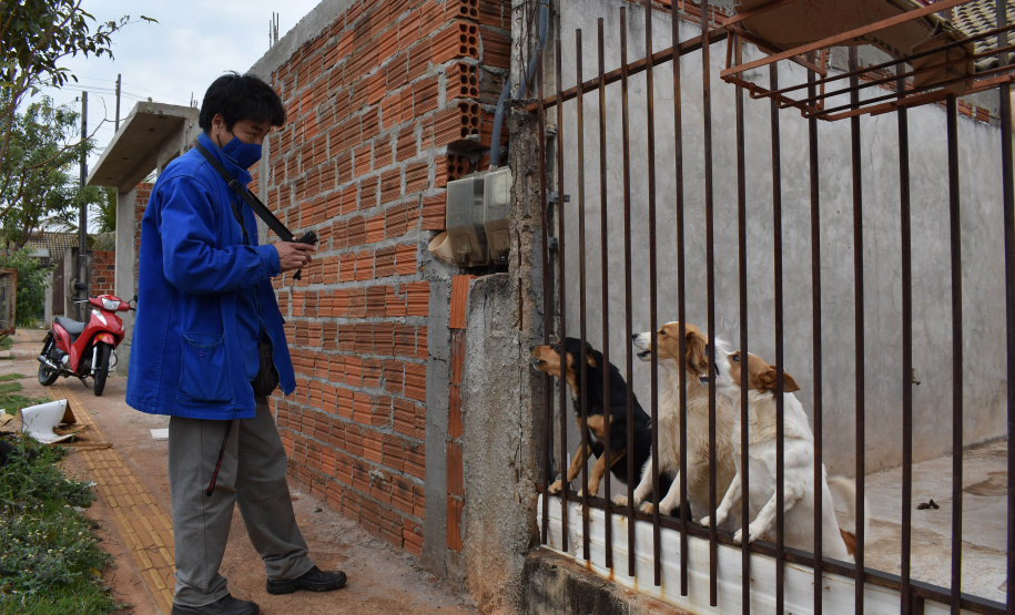 A presença de animais de estimação nos domicílios ganhou destaque ao longo da pandemia, sendo a companhia fiel de muitas famílias. Mas especialmente os cães, presentes em 57% dos lares na região Sul do Brasil segundo o IBGE, demandam atenção especial dos donos para que não ocorram acidentes. -  Curitiba, 16/08/2021  -  Foto: Rakelly Calliari/COPEL