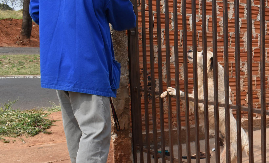 A presença de animais de estimação nos domicílios ganhou destaque ao longo da pandemia, sendo a companhia fiel de muitas famílias. Mas especialmente os cães, presentes em 57% dos lares na região Sul do Brasil segundo o IBGE, demandam atenção especial dos donos para que não ocorram acidentes. -  Curitiba, 16/08/2021  -  Foto:Rakelly Calliari/ COPEL