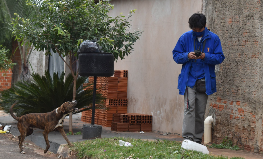 A presença de animais de estimação nos domicílios ganhou destaque ao longo da pandemia, sendo a companhia fiel de muitas famílias. Mas especialmente os cães, presentes em 57% dos lares na região Sul do Brasil segundo o IBGE, demandam atenção especial dos donos para que não ocorram acidentes. -  Curitiba, 16/08/2021  -  Foto: Rakelly Calliari/ COPEL