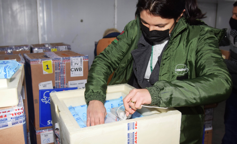 O Paraná recebeu nesta segunda-feira (16) mais 127.530 vacinas contra a Covid-19 da Pfizer/BioNTech. São 77.220 para D2 e 50.310 para primeira aplicação (D1).  -  Curitiba, 16/08/2021  -  Foto: Amércio Antonio/SESA