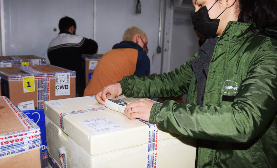 O Paraná recebeu nesta segunda-feira (16) mais 127.530 vacinas contra a Covid-19 da Pfizer/BioNTech. São 77.220 para D2 e 50.310 para primeira aplicação (D1).  -  Curitiba, 16/08/2021  -  Foto: Amércio Antonio/SESA