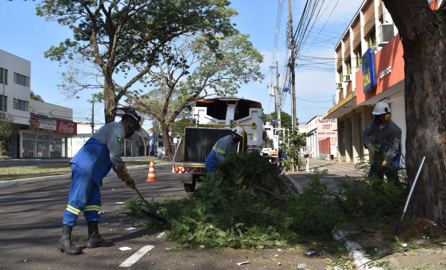 Mutirão da Copel promoveu inspeção e limpeza das rede. Foto: Copel