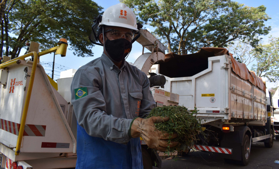 Mutirão da Copel promoveu inspeção e limpeza das rede. Foto: Rakelly Calliari/COPEL