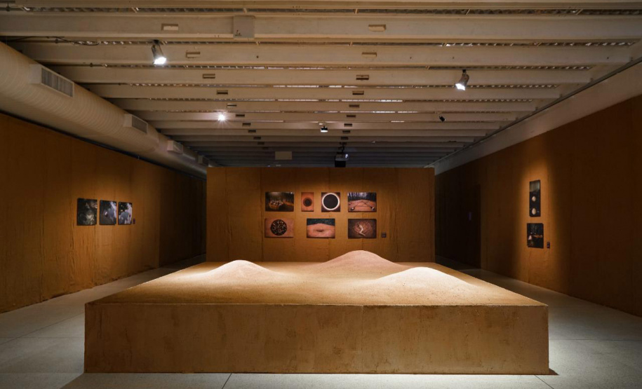 Obra da mostra _Radical_, de Sonia Dias_ Foto de Andre? Nacli