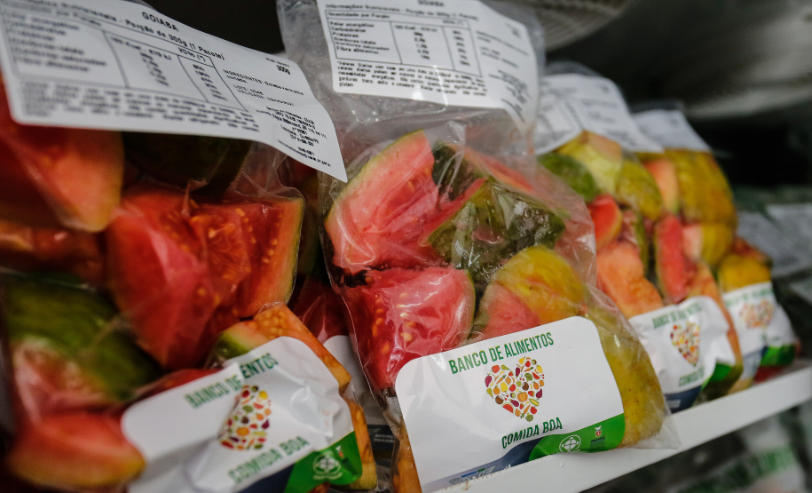 Banco de Alimentos da Ceasa Paraná reaproveita mais de 2 milhões de hortigranjeiros. Foto: Jonathan Campos/AEN