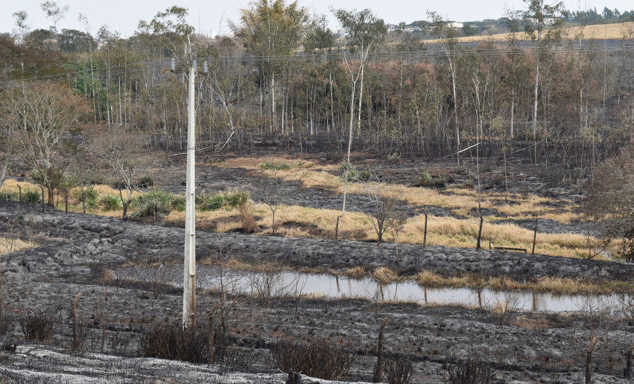 Desligamentos por queimadas aumentam 30% no Paraná Foto COPEL
