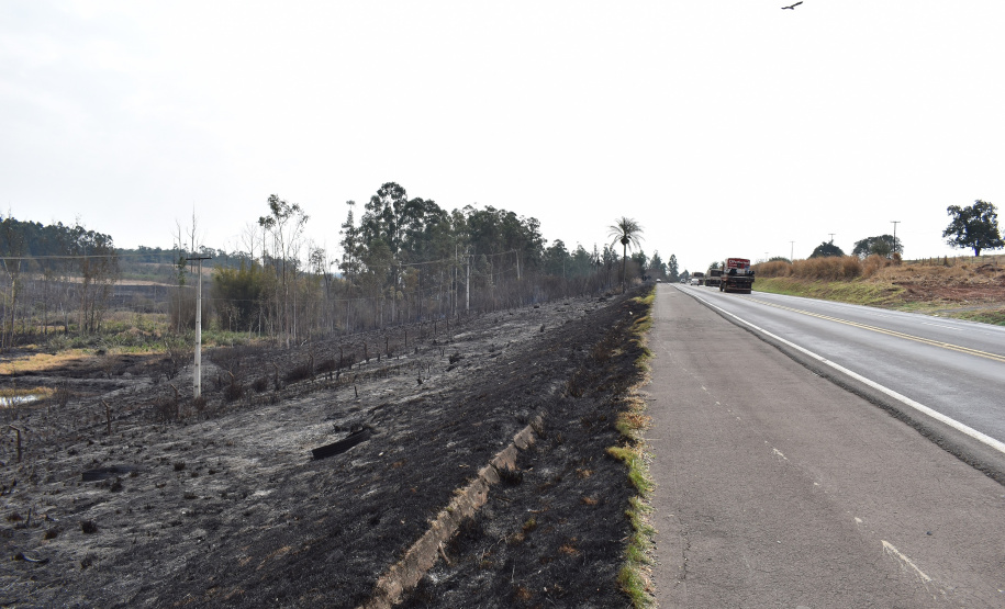 Desligamentos por queimadas aumentam 30% no Paraná Foto COPEL