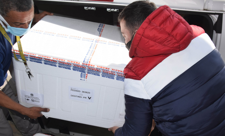 O Paraná recebeu nesta sexta-feira (20) mais 325.660 doses de vacinas contra a Covid-19. O lote enviado pelo Ministério da Saúde foi dividido em duas remessas, com 138.060 imunizantes produzidos pela Pfizer e 187.600 doses da CoronaVac. A distribuição para as 22 regionais que formam o sistema de saúde estadual começa já nesta sexta. -  Curitiba, 20/08/2021  -  Foto: Américo Antonio/SESA