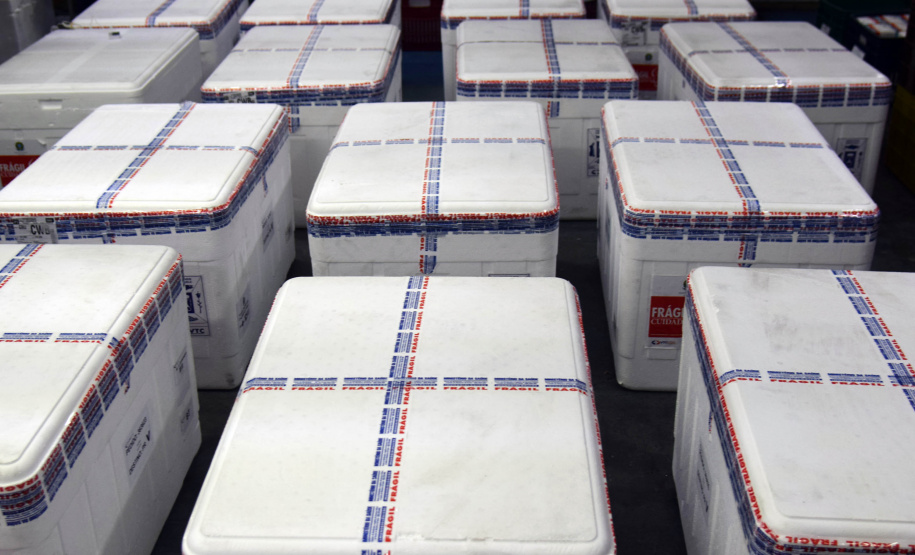 O Paraná recebeu nesta sexta-feira (20) mais 325.660 doses de vacinas contra a Covid-19. O lote enviado pelo Ministério da Saúde foi dividido em duas remessas, com 138.060 imunizantes produzidos pela Pfizer e 187.600 doses da CoronaVac. A distribuição para as 22 regionais que formam o sistema de saúde estadual começa já nesta sexta. -  Curitiba, 20/08/2021  -  Foto: Américo Antonio/SESA