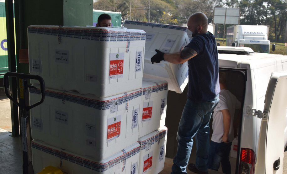Estado distribui 445.388 vacinas contra a Covid-19 e 49.750 medicamentos para intubação; veja divisão. Foto: Américo Antônio/SESA