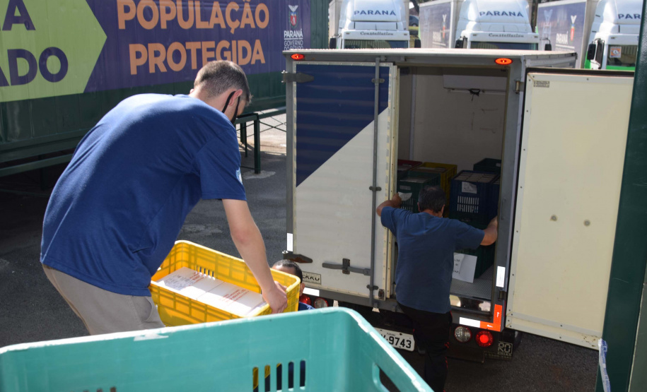 Estado distribui 445.388 vacinas contra a Covid-19 e 49.750 medicamentos para intubação; veja divisão. Foto: Américo Antonio/SESA