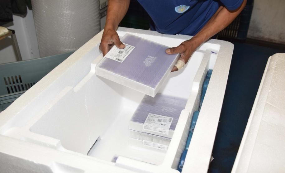 Estado distribui 445.388 vacinas contra a Covid-19 e 49.750 medicamentos para intubação; veja divisão. Foto: Américo Antonio/SESA