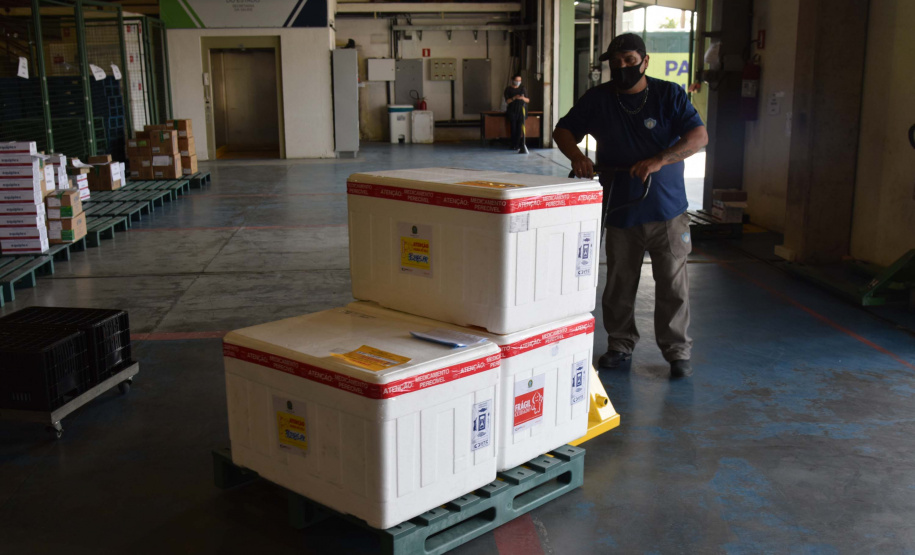 Estado distribui 445.388 vacinas contra a Covid-19 e 49.750 medicamentos para intubação; veja divisão. Foto: Américo Antonio/SESA