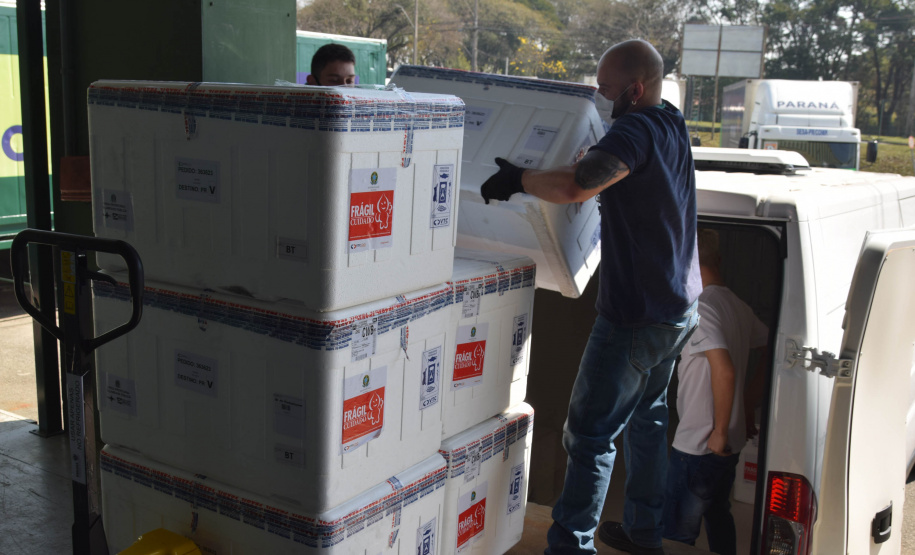 Paraná recebe mais 435.290 vacinas contra Covid-19 entre domingo e segunda-feira  -  Foto: Américo Antonio/SESA