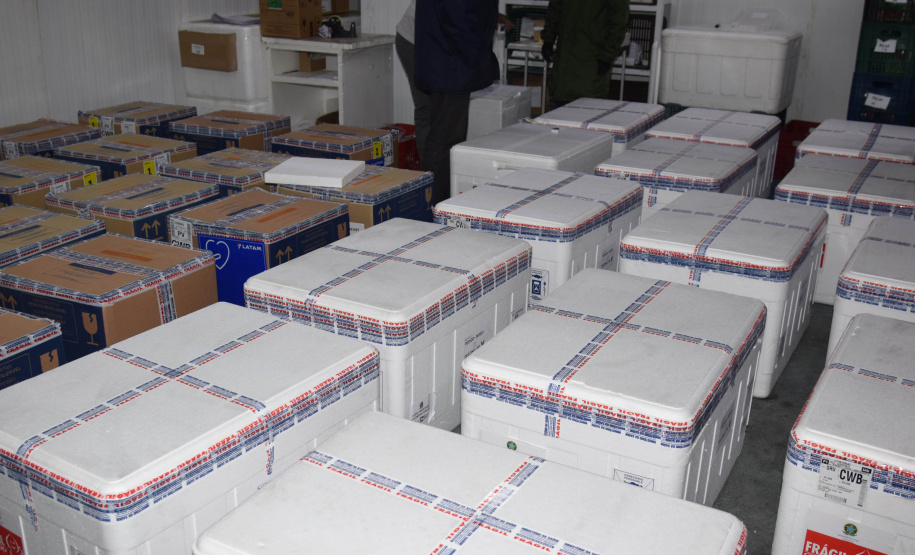 Paraná recebe mais 435.290 vacinas contra Covid-19 entre domingo e segunda-feira  -  Foto: Américo Antonio/SESA