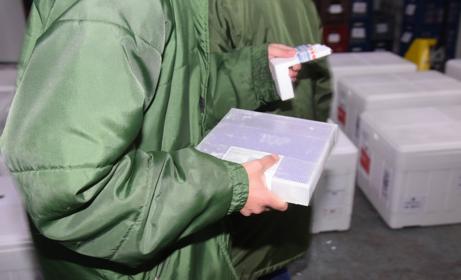 Paraná recebe mais 435.290 vacinas contra Covid-19 entre domingo e segunda-feira  -  Foto: Américo Antonio/SESA