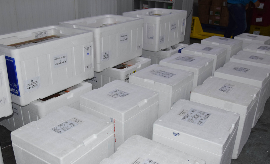 Chegaram no Paraná, na noite deste domingo (22), 107.640 doses do imunizante Cominarty, produzidos pela Pfizer/BioNTech. Esta é a segunda parte do 42° lote de vacinas contra Covid-19 enviado pelo Ministério da Saúde, que contempla 435.290 novas doses para o Estado.  -  Curitiba, 22/08/2021  -  Foto: Américo Antonio/SESA