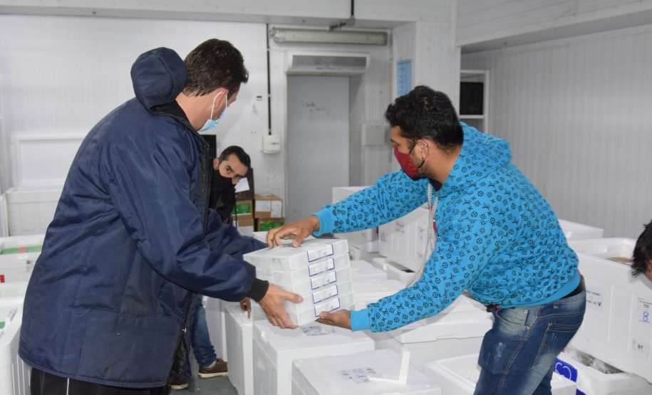 Chegaram no Paraná, na noite deste domingo (22), 107.640 doses do imunizante Cominarty, produzidos pela Pfizer/BioNTech. Esta é a segunda parte do 42° lote de vacinas contra Covid-19 enviado pelo Ministério da Saúde, que contempla 435.290 novas doses para o Estado.  -  Curitiba, 22/08/2021  -  Foto: Américo Antonio/SESA