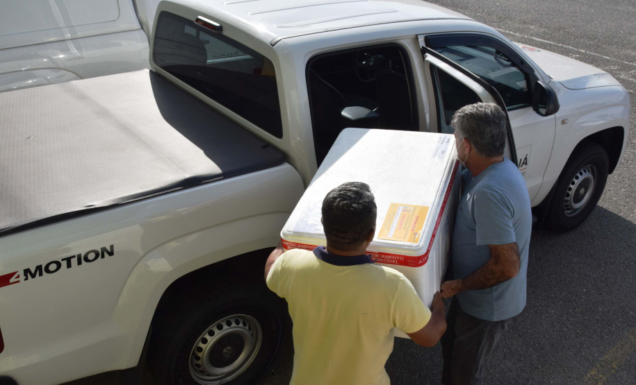 Paraná distribui nesta segunda-feira 223.268 doses de vacinas contra a Covid-19. Foto: Américo Antonio/SESA