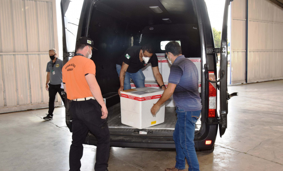 Paraná distribui nesta segunda-feira 223.268 doses de vacinas contra a Covid-19. Foto: Américo Antonio/SESA