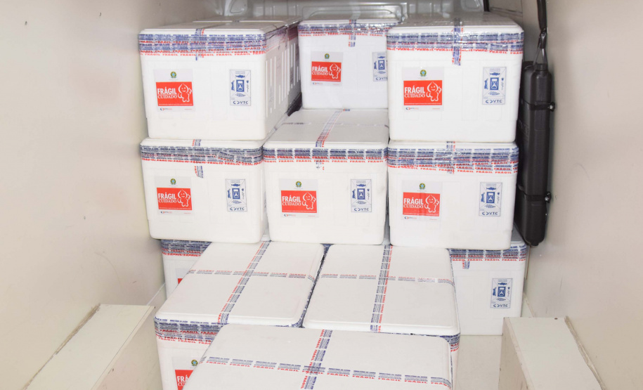 Estado recebe mais 232.250 vacinas contra a Covid-19; lote completa remessa de 435.290 doses. Foto: Américo Antonio/SESA