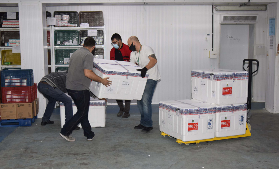 Estado recebe mais 232.250 vacinas contra a Covid-19; lote completa remessa de 435.290 doses. Foto: Américo Antonio/SESA