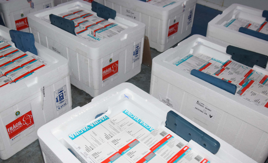 Estado recebe mais 232.250 vacinas contra a Covid-19; lote completa remessa de 435.290 doses. Foto: Américo Antonio/SESA