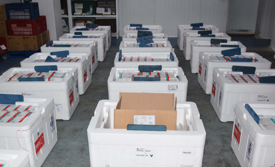 Estado recebe mais 232.250 vacinas contra a Covid-19; lote completa remessa de 435.290 doses. Foto: Américo Antonio/SESA