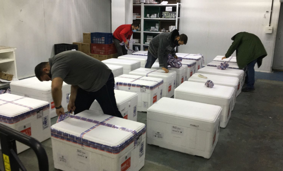 Estado recebe mais 232.250 vacinas contra a Covid-19; lote completa remessa de 435.290 doses. Foto: Américo Antonio/SESA